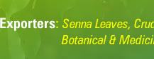 Exporters: Senna Leaves, Crude Drugs, Botanical & Medicinal Herbs and Spices
