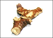 Alpinia Galanga