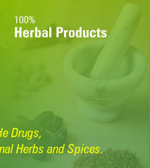 Exporters: Senna Leaves, Crude Drugs, Botanical & Medicinal Herbs and Spices