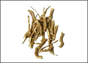 Boerhaavia Diffusa