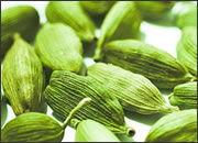 Cardamom